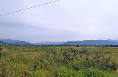 VENTA DE TERRENO DE 60 HAS. EN SAN MARTÍN